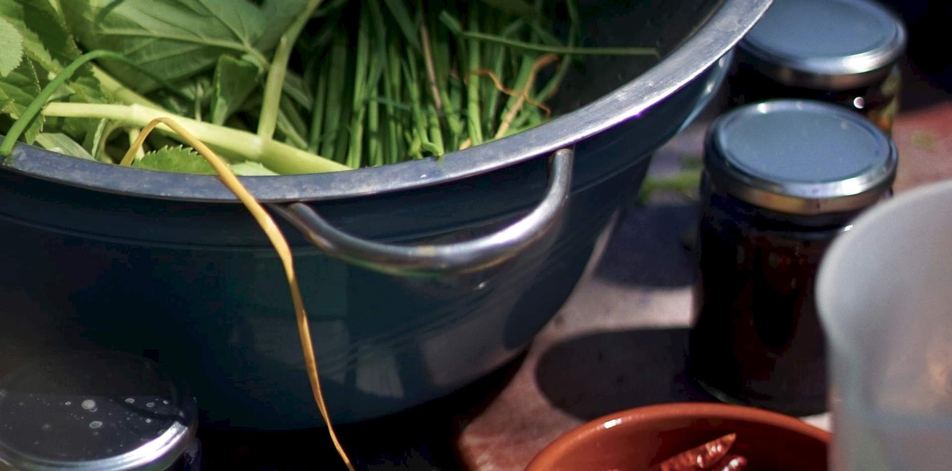 vegetables and herbs