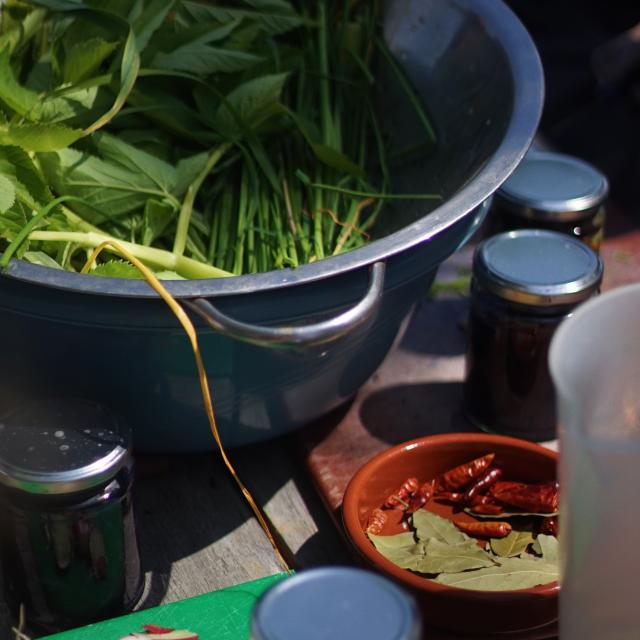 vegetables and herbs