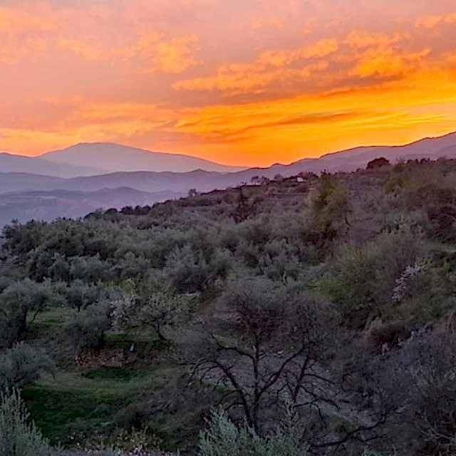 sunset